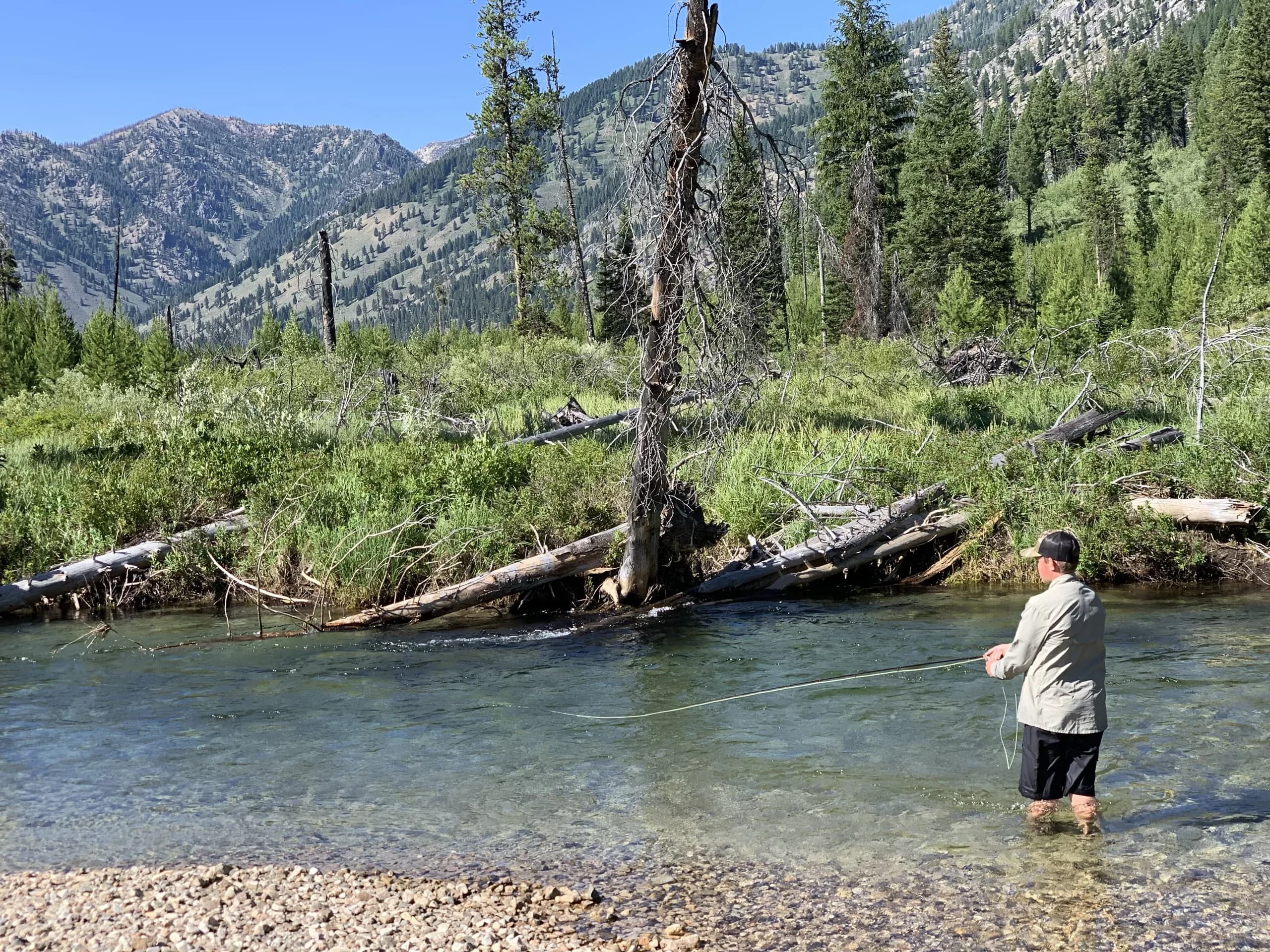 Angler wading a shallow clear river, timbered mountains behind