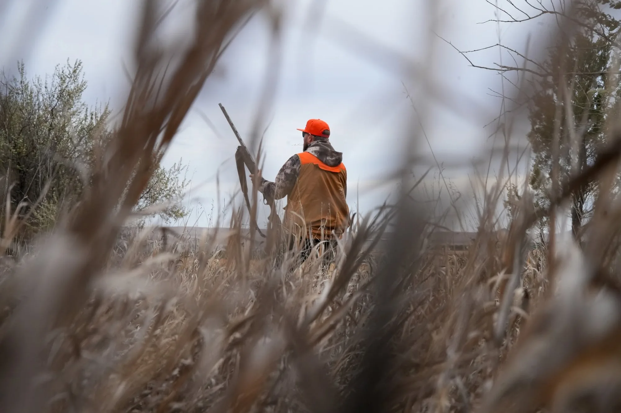 Hunter in blaze orange working through tall brush and grass