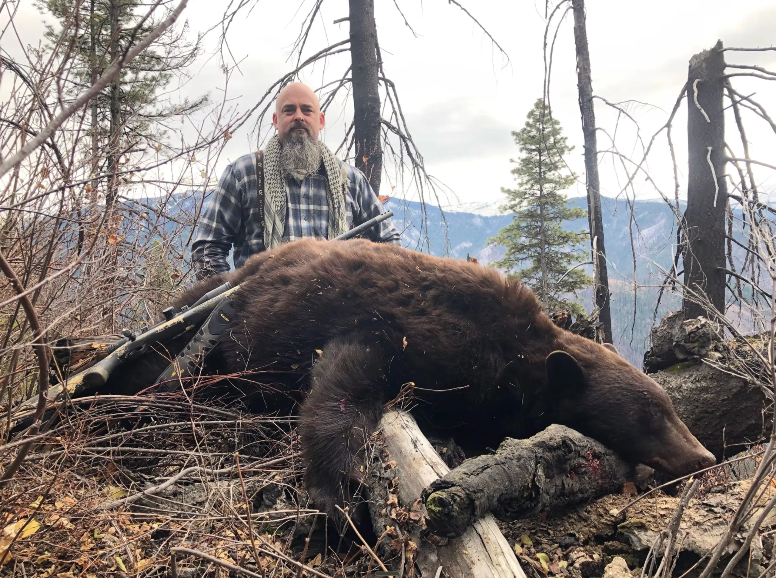 Montana Spring Black Bear Hunt