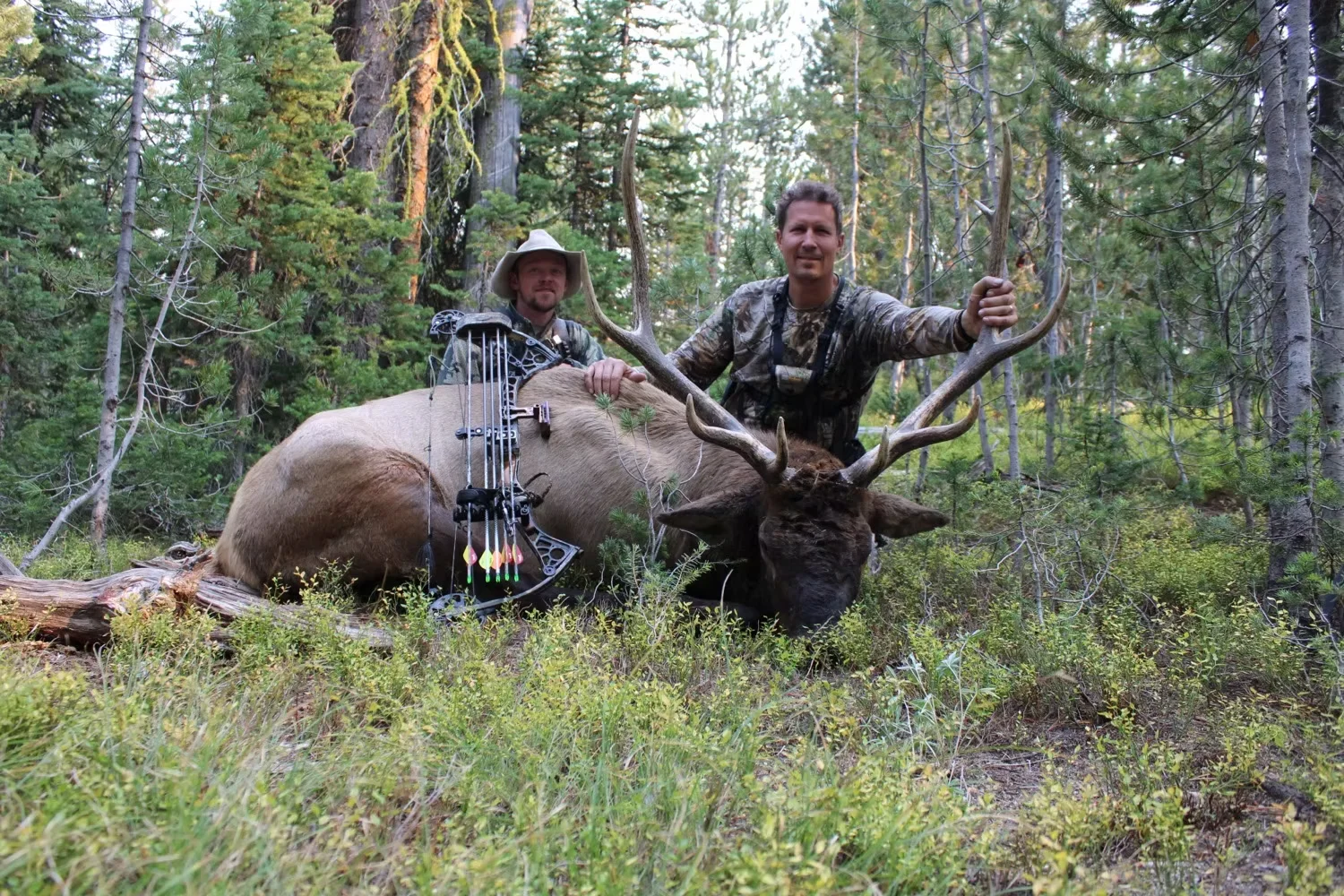 Steel Creek Outfitters