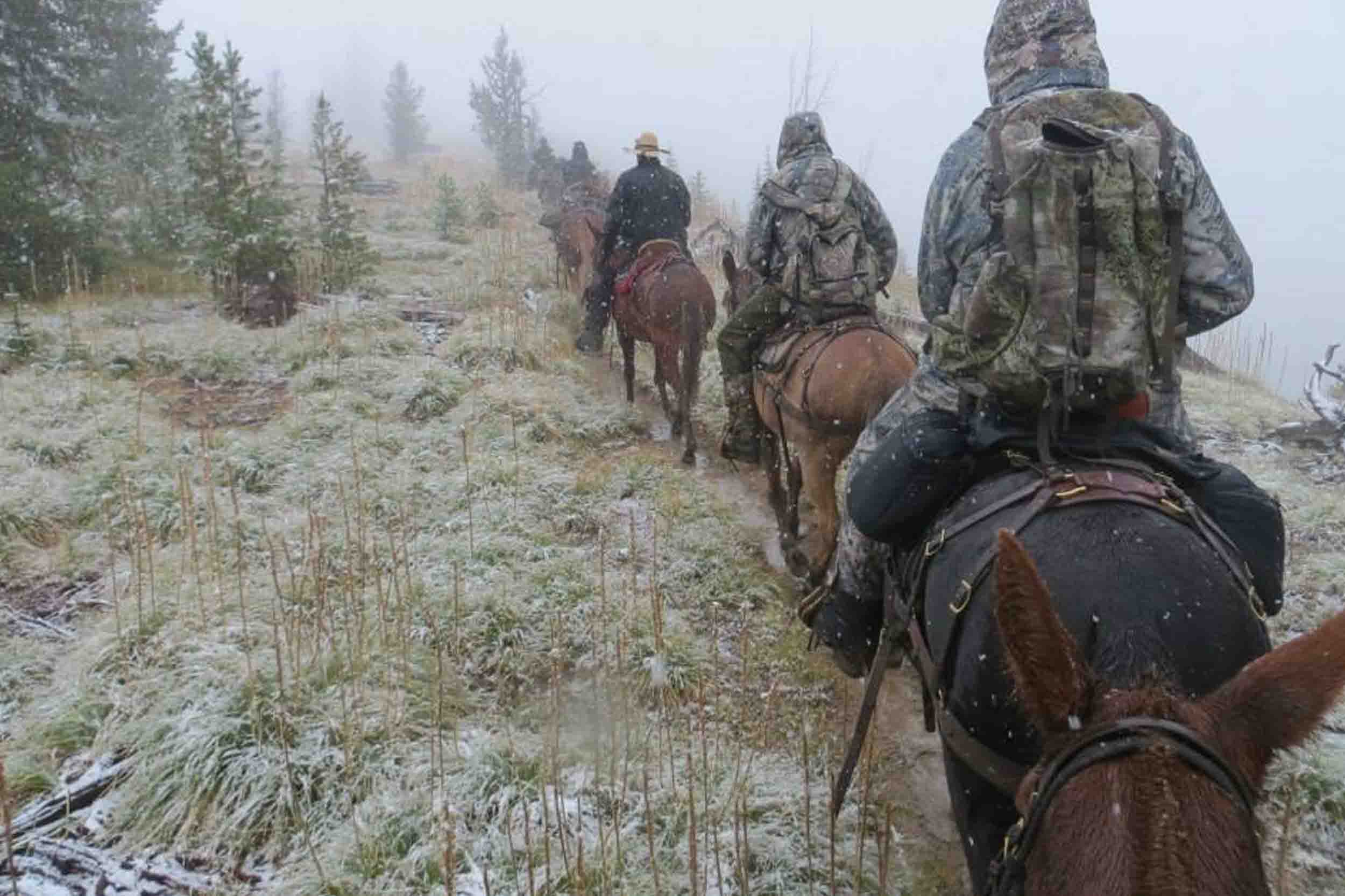 String of riders on horseback in falling snow